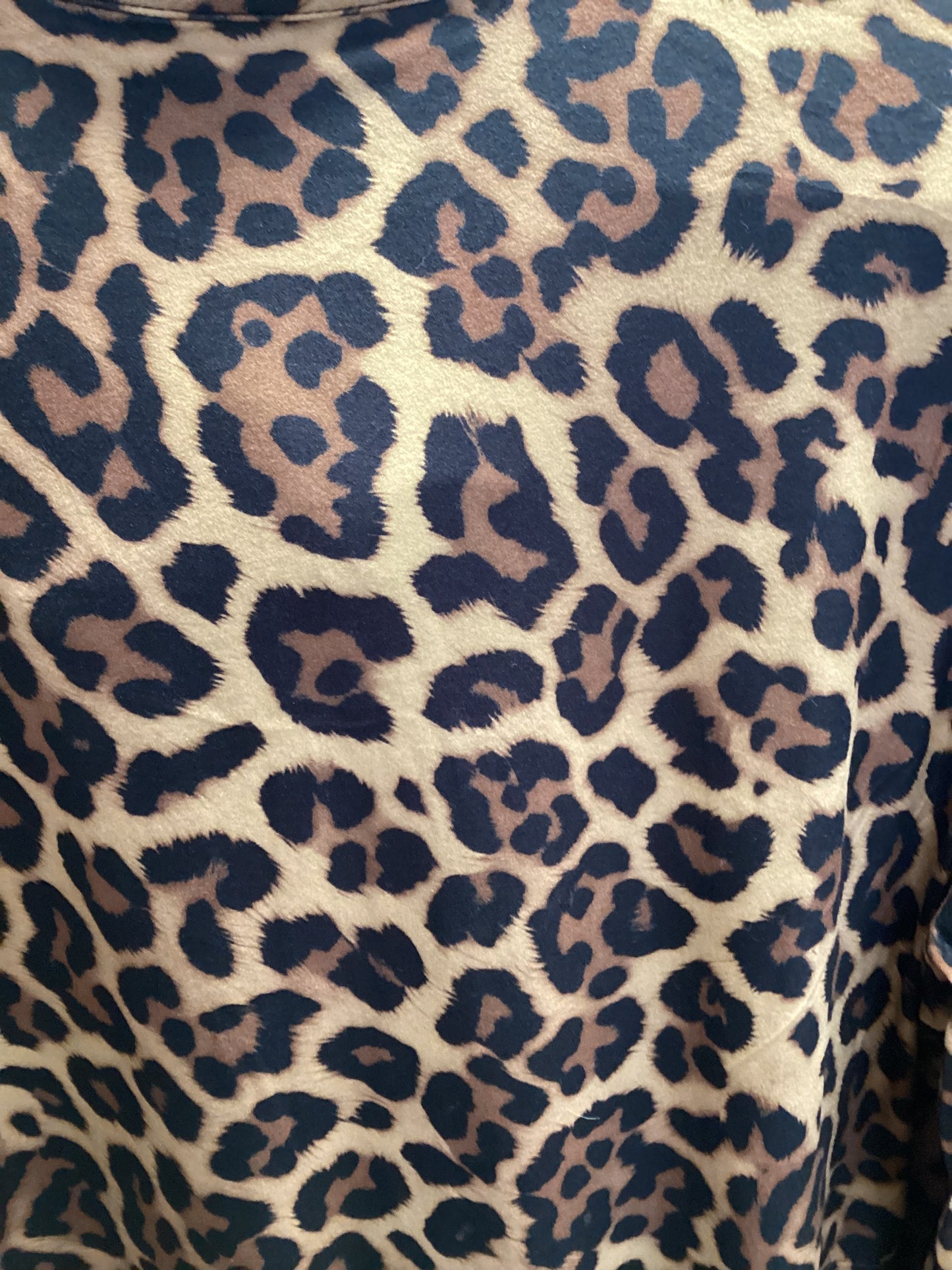 Roxanne~ Leopard print dress